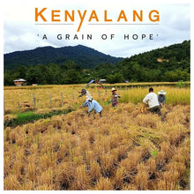 Load image into Gallery viewer, KENYALANG Sarawak SIA Semi-polished Red Rice 1kg